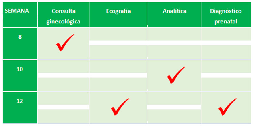 calendario_primer_trimestre_embarazo