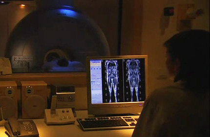 onco-musculo-esqueletico