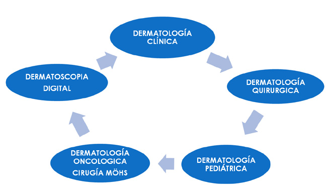 Organigrama