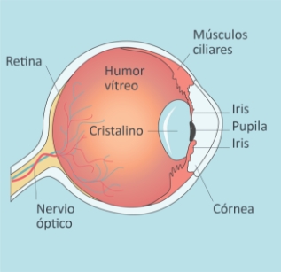 CR-Hipermetropia-Tratamiento-01