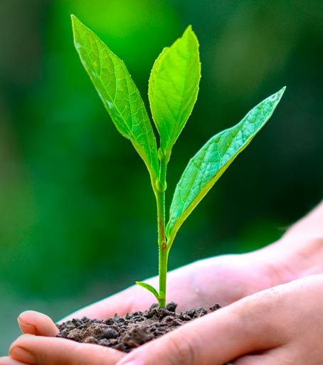 comprometidos-con-el-medio-ambiente