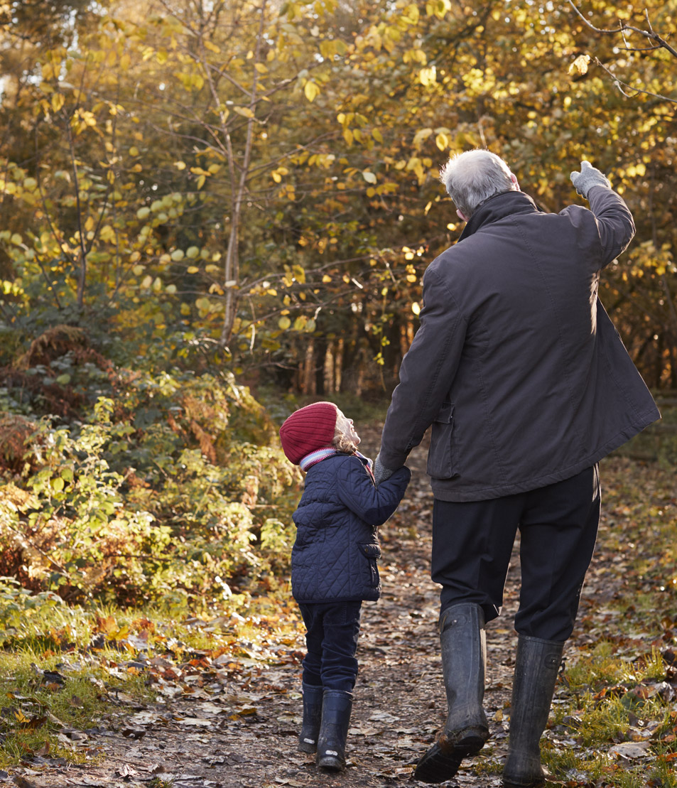 quienes-somos-como-podemos-ayudarte