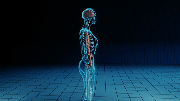 Endoscopia Digestiva | Hospital Quirónsalud Torrevieja