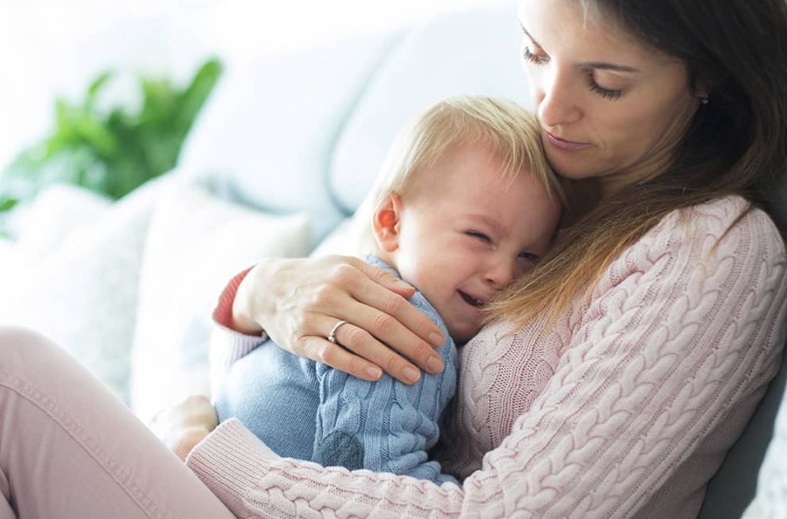 Baixe Papéis de Parede do Papelde Parede De Um Bebê Guepardo Adorável. |  Wallpapers.com, image size:1109x732