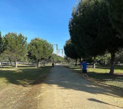 Foto corriendo
