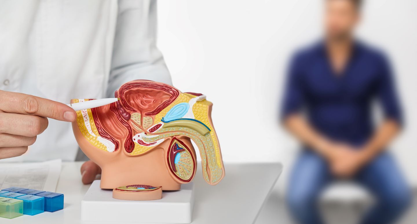 Cáncer de próstata web