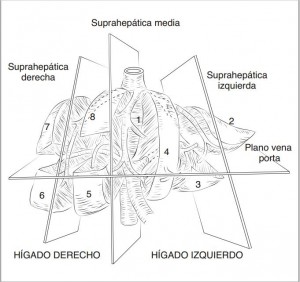 foto2-300x282