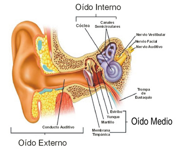 OIDO