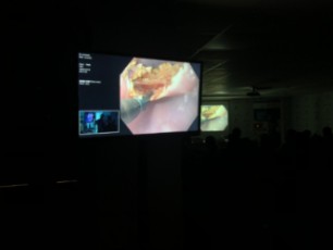 III JORNADA EDA 13