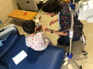 Terapia Perruna Fin de Año 6