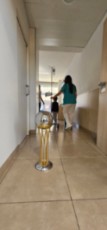 visita copa rey 2