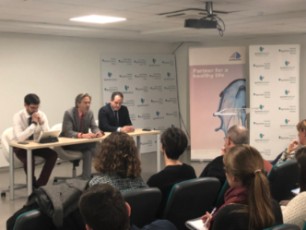 Presentación 1
