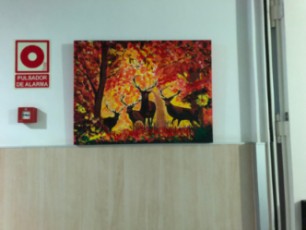 Jorge Duarte- 150 €