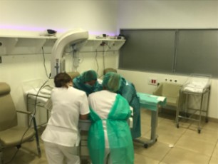 Día del Prematuro 2