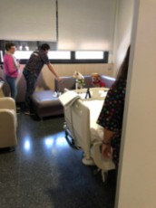 terapia perruna 5