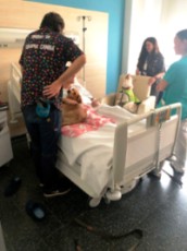 terapia perruna 9