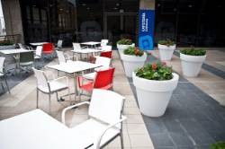 Cafetería Hospital Quirónsalud Málaga
