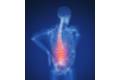 columna