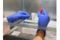 tests-saliva-quironsalud-andalucia