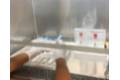 TEST ANTÍGENOS QUIRÓNSALUD