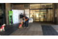 huellas ysonrisas_quironsaludmalaga_actividadperros