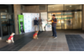 Huellas ysonrisas_quironsaludmalaga_juegoperros