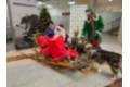 VISITA PAPA NOEL 2023 2