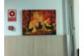 Jorge Duarte 1 - 150 €