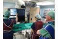 I Workshop Unidad del Dolor