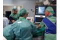 I Workshop Unidad del Dolor