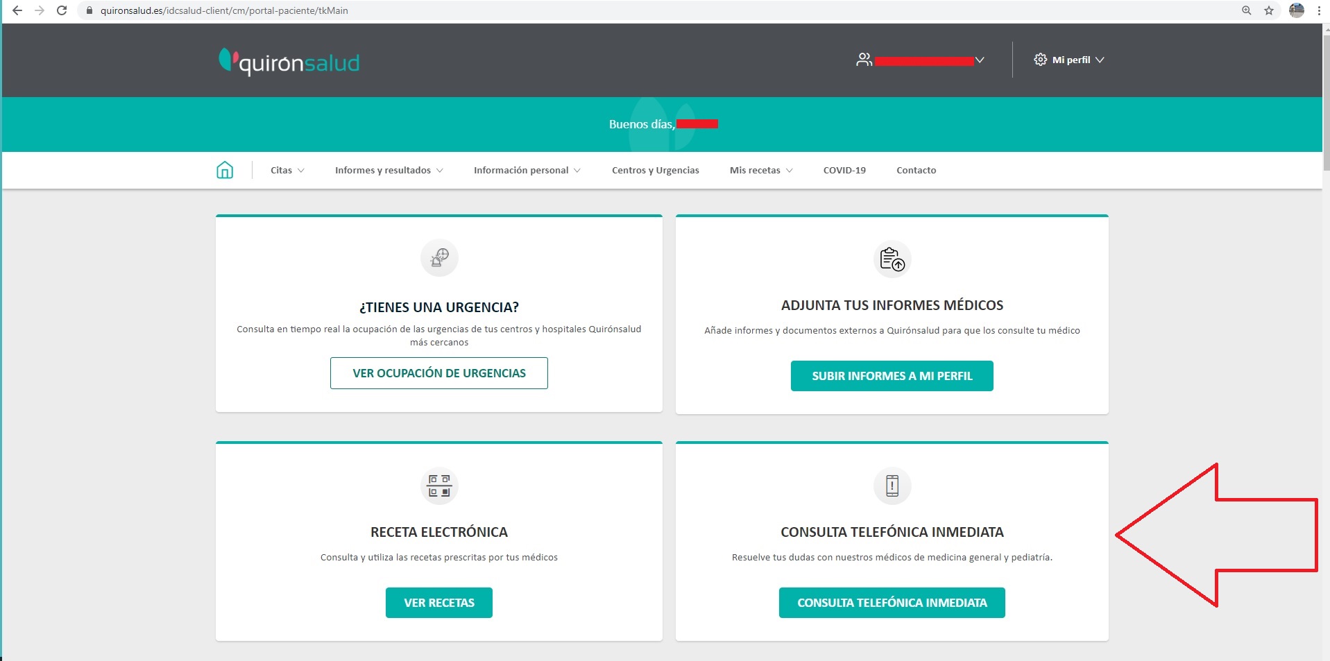 consulta telefonónica inmediata portal paciente ejemplo