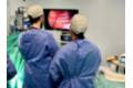 NP Pectus Cirped QSM 2025_1