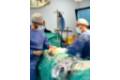 NP Pectus Cirped QSM 2025_2