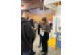 IMG-20230317-WA0010