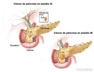 foto8-300x231