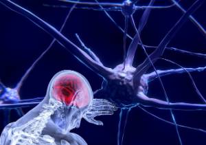 neurons-3743011_640