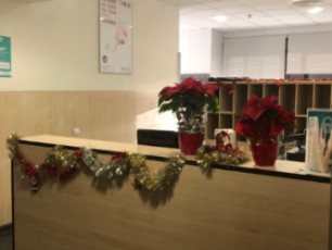 1ª Planta Málaga