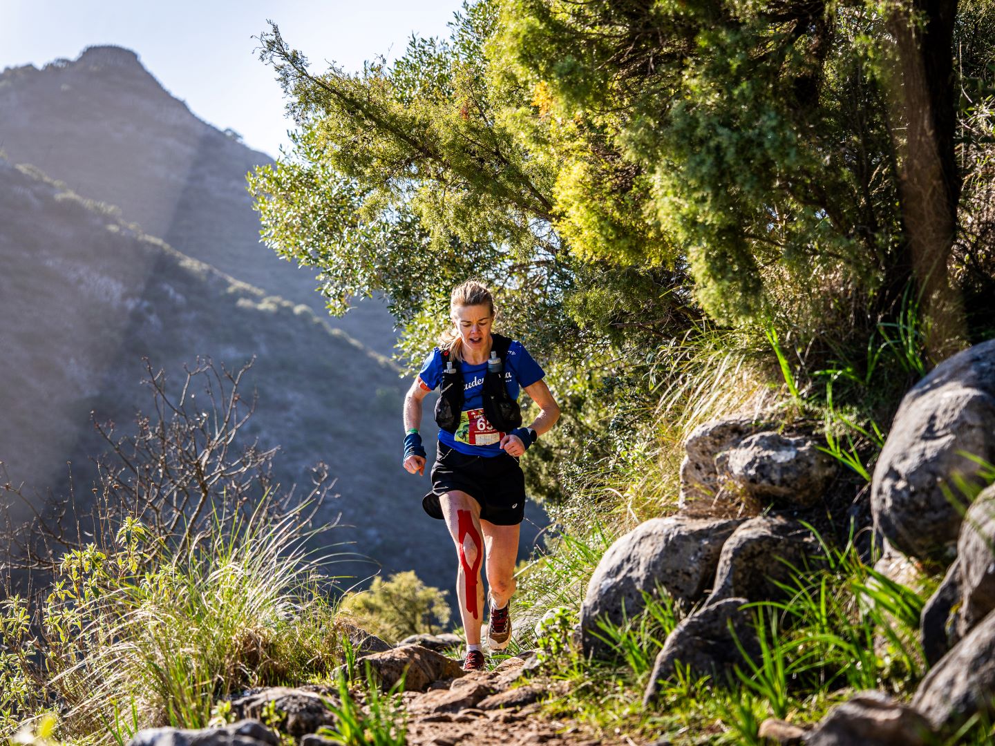 1440 trail-sierra-blanca