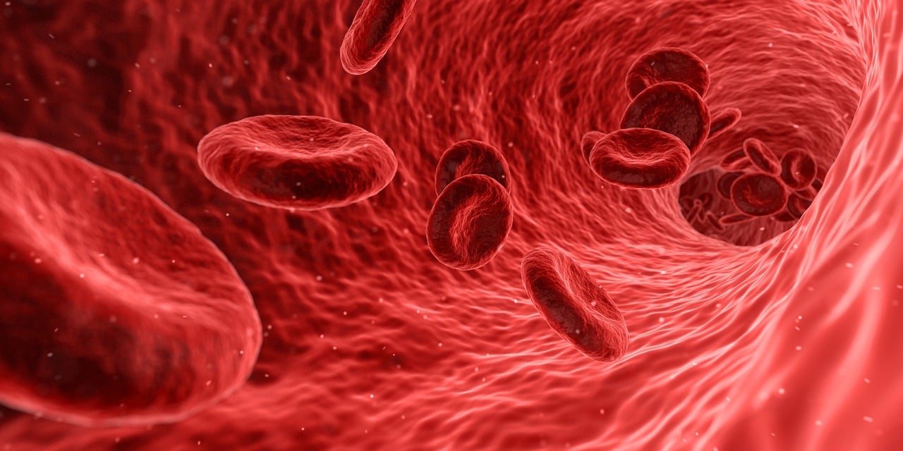 hematologia-quironsalud-marbella