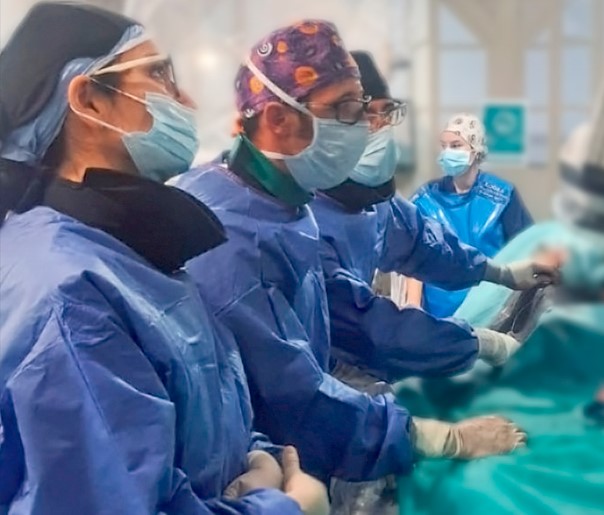vascular-pie-diabetico-hospital-quironsalud-marbella