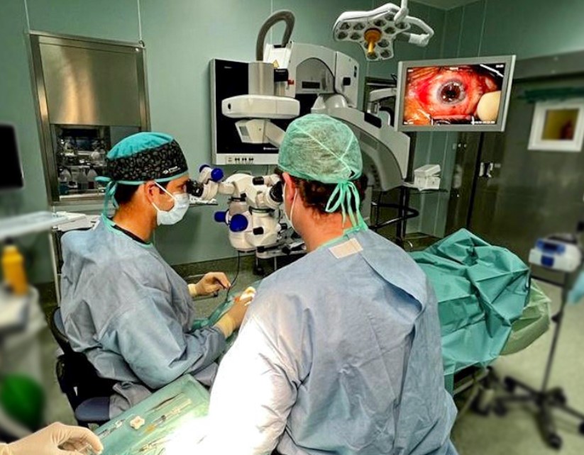 glaucoma-ophthalmology-quironsalud-marbella-web