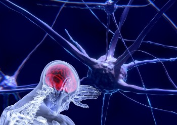 neurons-3743011_640