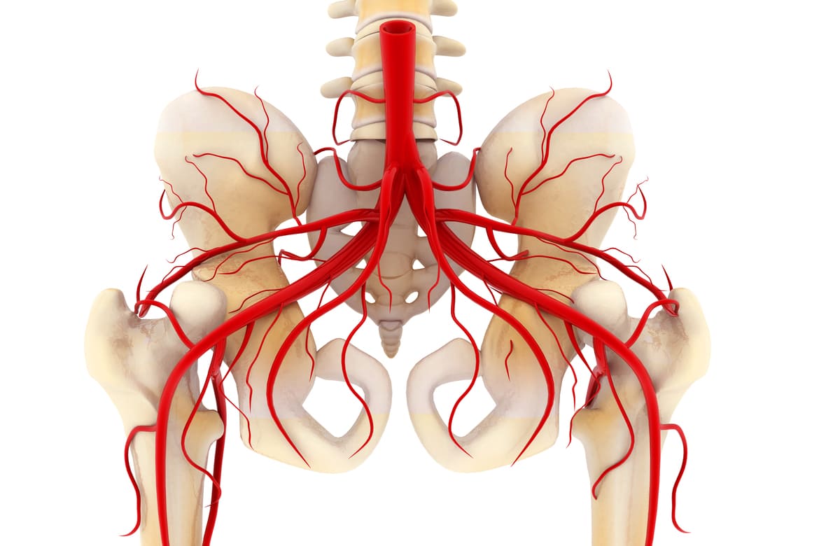 Imagen venas pelvicas