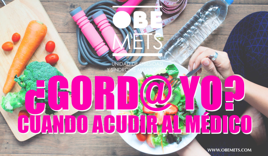 51_recurso-gordo-yo-1024x598