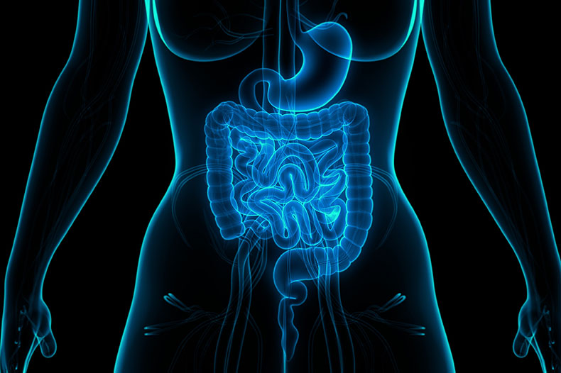 Cirugía General y del Aparato Digestivo