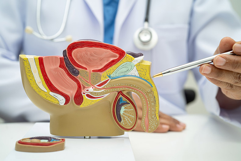 urologia