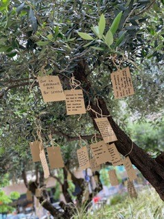 arbol3