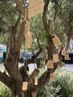 arbol 5