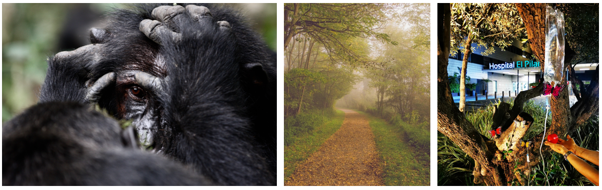 FotografíaMedioambiente