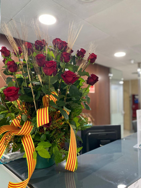 sant jordi 2 web